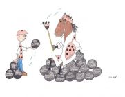 International Horses/Courses