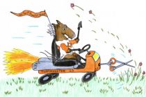 Ben's Cat 2012 Turf Monster