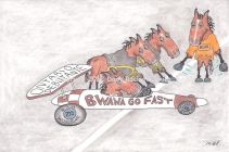 Bwana Go Fast 2012 Ontario Debutante