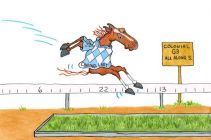 Channel Lady 2013 All Along Stakes