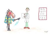 Contested 2012 Test Stakes