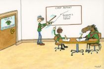 Crop Report 2013 Rushaway Stakes