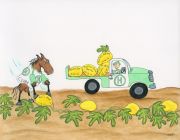 Csaba 2013 Hal's Hope Melons