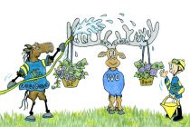 Karibu Gardens 2014 Sky Classic Stakes