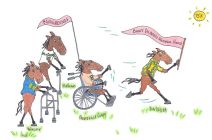 Sun Tracer Buddy Dilberto Mem. Hcp 2011