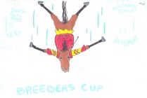 Turbulent Descent Breeder's Cup 2011